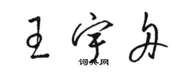 骆恒光王宇舟草书个性签名怎么写