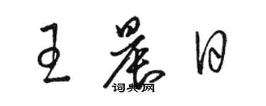 骆恒光王晨日草书个性签名怎么写