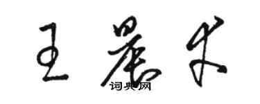 骆恒光王晨幸草书个性签名怎么写