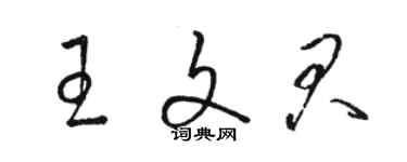 骆恒光王文君草书个性签名怎么写