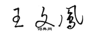 骆恒光王文凤草书个性签名怎么写