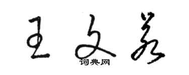 骆恒光王文若草书个性签名怎么写
