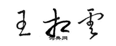 骆恒光王相云草书个性签名怎么写