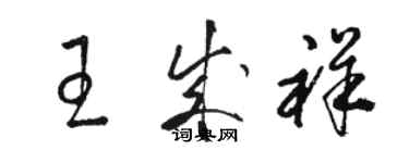 骆恒光王成祥草书个性签名怎么写