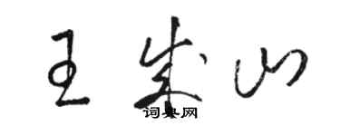 骆恒光王成山草书个性签名怎么写