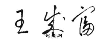 骆恒光王成富草书个性签名怎么写