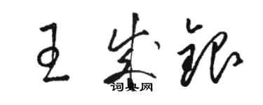 骆恒光王成银草书个性签名怎么写