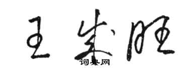 骆恒光王成旺草书个性签名怎么写
