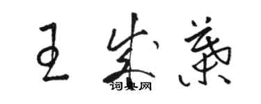 骆恒光王成叶草书个性签名怎么写
