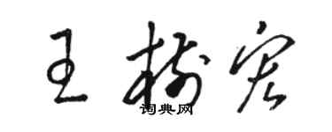 骆恒光王树宏草书个性签名怎么写