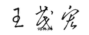 骆恒光王茂宏草书个性签名怎么写