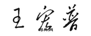 骆恒光王宏普草书个性签名怎么写