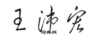 骆恒光王沛宏草书个性签名怎么写