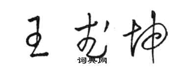 骆恒光王武坤草书个性签名怎么写