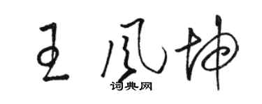 骆恒光王风坤草书个性签名怎么写