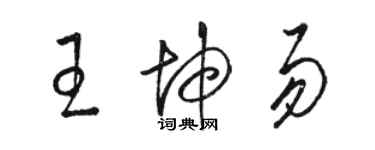 骆恒光王坤易草书个性签名怎么写