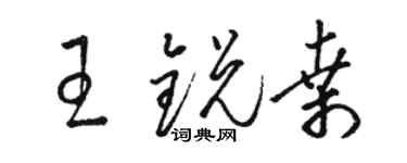 骆恒光王锐桑草书个性签名怎么写
