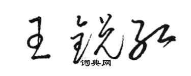 骆恒光王锐红草书个性签名怎么写