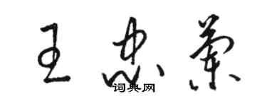 骆恒光王忠兰草书个性签名怎么写
