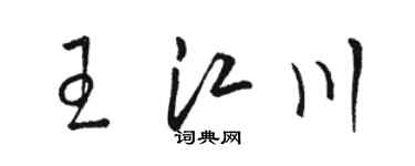 骆恒光王江川草书个性签名怎么写