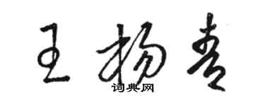 骆恒光王杨青草书个性签名怎么写