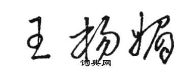 骆恒光王杨媚草书个性签名怎么写
