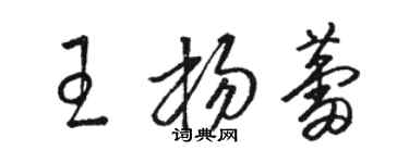 骆恒光王杨蕾草书个性签名怎么写