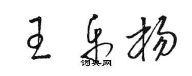 骆恒光王乐杨草书个性签名怎么写