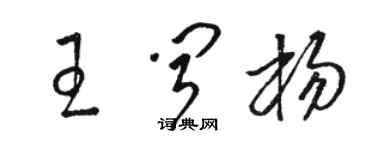 骆恒光王闻杨草书个性签名怎么写