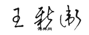 骆恒光王新卫草书个性签名怎么写