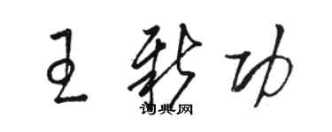 骆恒光王新功草书个性签名怎么写