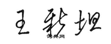 骆恒光王新坦草书个性签名怎么写