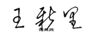 骆恒光王新里草书个性签名怎么写