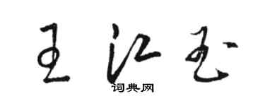 骆恒光王江玉草书个性签名怎么写