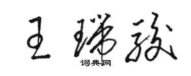 骆恒光王瑞骏草书个性签名怎么写