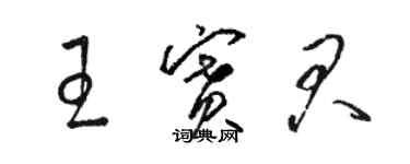 骆恒光王赛君草书个性签名怎么写