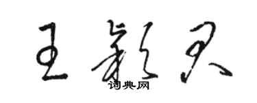 骆恒光王颖君草书个性签名怎么写