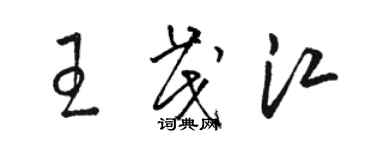 骆恒光王茂江草书个性签名怎么写
