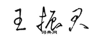 骆恒光王振君草书个性签名怎么写