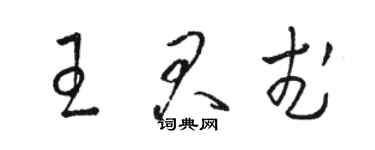 骆恒光王君武草书个性签名怎么写