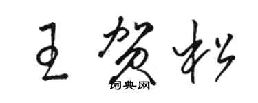 骆恒光王贺松草书个性签名怎么写