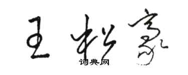 骆恒光王松豪草书个性签名怎么写