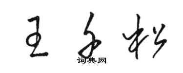骆恒光王千松草书个性签名怎么写