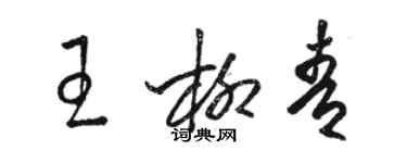 骆恒光王柳青草书个性签名怎么写