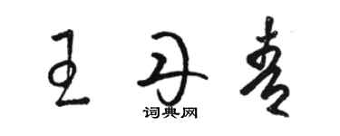 骆恒光王丹青草书个性签名怎么写