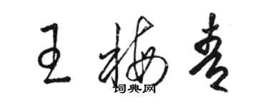 骆恒光王梅青草书个性签名怎么写