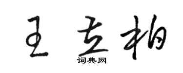 骆恒光王立柏草书个性签名怎么写