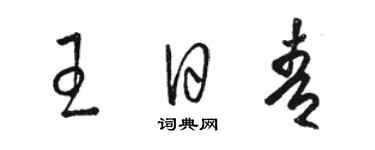 骆恒光王日青草书个性签名怎么写