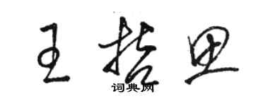 骆恒光王哲思草书个性签名怎么写