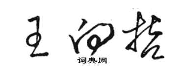骆恒光王向哲草书个性签名怎么写